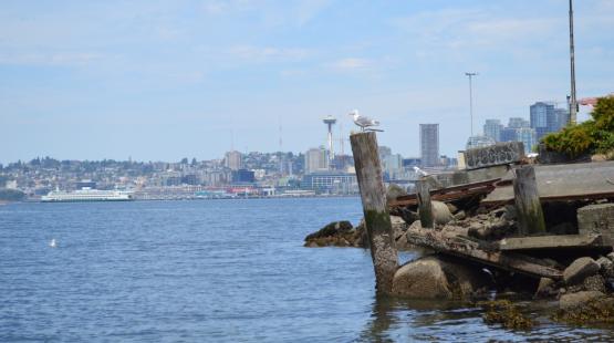 Ocean Acidification Action Plan