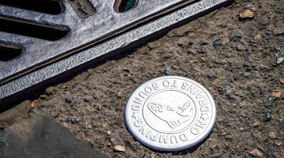A metal storm‑drain grate beside a circular marker on the pavement that reads “No Dumping — Drains to Sound” with a fish symbol.