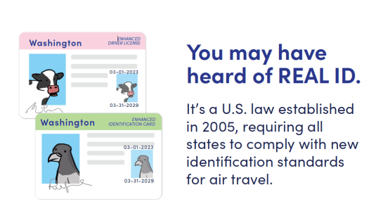 You may have heard of Real ID. It's a U.S. law established in 2005, requiring all states to comply with new identification standards for air travel.
