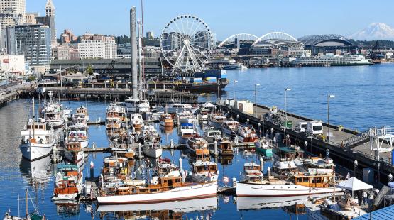 A marina filled with numerous boats docked along the piers, with a waterfront cityscape in the background that includes tall buildings, a large Ferris wheel, stadium structures, and a distant snow-covered mountain across the water.
