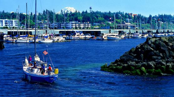 A sailboat with several people onboard moves through a marina toward open water, with rows of docked boats, waterfront buildings, and a forested hillside in the background.