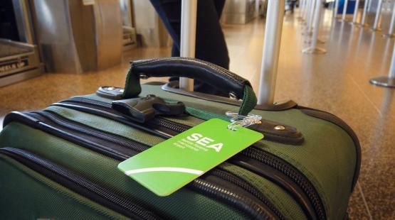 Close‑up of a green suitcase with an SEA luggage tag attached, positioned in an airport check‑in area with stanchions and counters in the background.