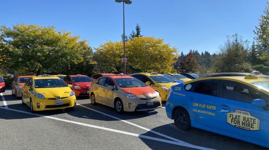 A row of colorful taxi cars, including yellow, orange, red, and blue vehicles, parked in a lot on a sunny day with trees in the background.