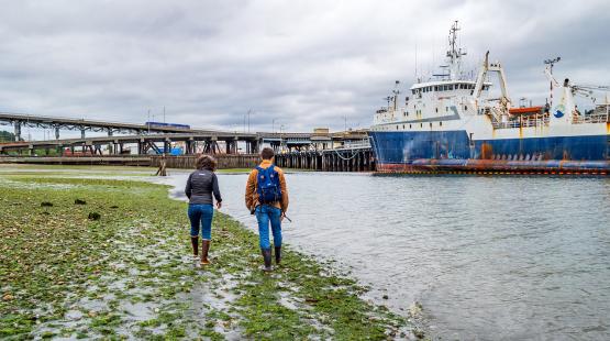 Two people walk along a muddy shoreline covered with seaweed and small rocks, heading toward a large docked vessel. A multi‑level bridge structure spans the background under an overcast sky.