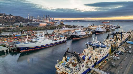 Factory trawlers at Terminal 91.