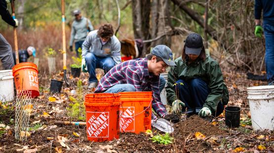 Volunteers work together in a forested area, planting small trees and native plants in the soil. Several tools, orange buckets, and planting containers are scattered around the site, with fallen leaves covering the ground.