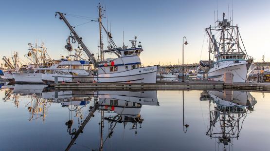 Boats at Fishermen's Terminal