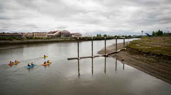 Kayakers on the Duwamish River by Duwamish River People's Park.