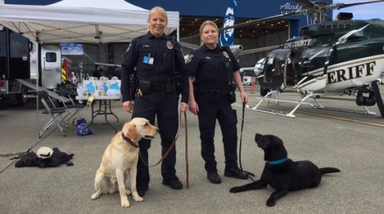 Canine Unit (K9)