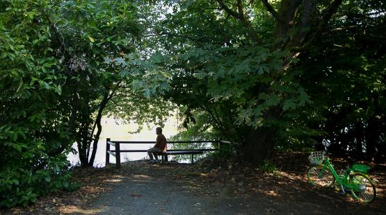həʔapus Village Park and Shoreline Habitat
