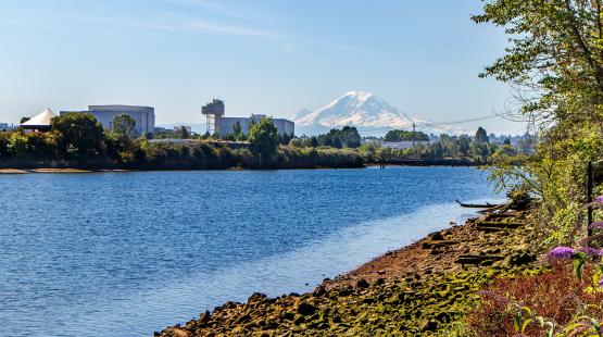 Habitat restoration along the Duwamish River.