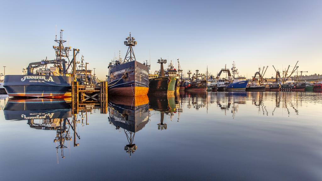 Fishermen's Terminal Redevelopment